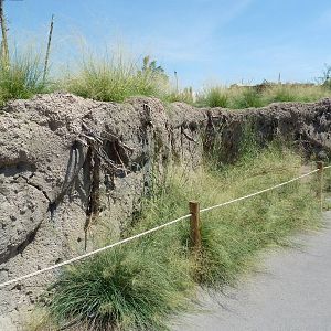 African Savanna Visitor Walkway - New Exhibit In 2010