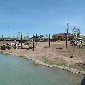 African Savanna - New Exhibit In 2010