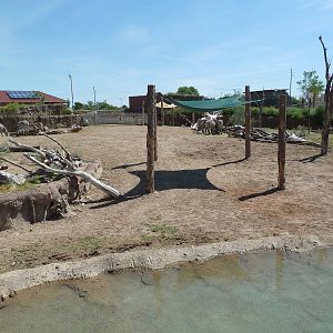 African Savanna - New Exhibit In 2010