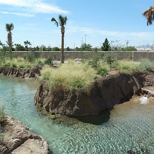 African Savanna Waterway - New Exhibit In 2010