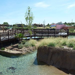 African Savanna Waterway - New Exhibit In 2010