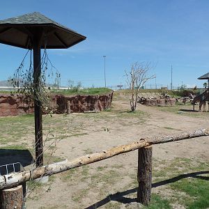 Giraffe Exhibit - New Exhibit In 2010