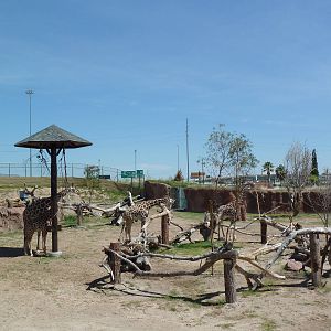 Giraffe Exhibit - New Exhibit In 2010