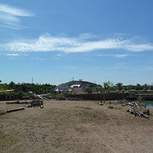 African Savanna - New Exhibit In 2010