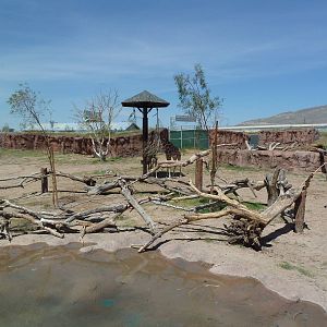Giraffe Exhibit - New Exhibit In 2010