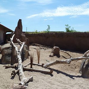 Meerkat Exhibit - New Exhibit In 2010