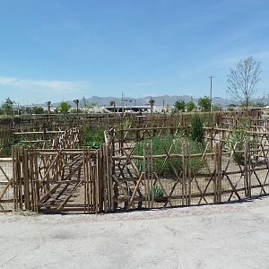 Tortoise Exhibits - New Exhibits In 2010