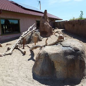 Meerkat Exhibit - New Exhibit In 2010