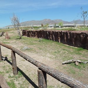 Giraffe Exhibit - New Exhibit In 2010