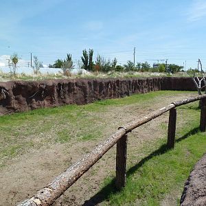 Giraffe Exhibit - New Exhibit In 2010