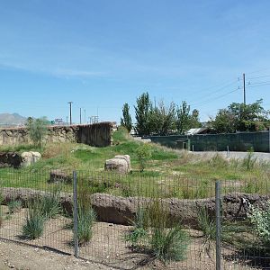 Red River Hog Exhibit - New Exhibit For 2011