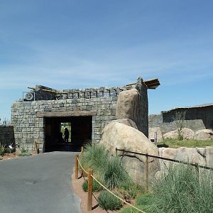 Lion Exhibit - New Exhibit In 2010