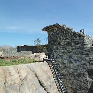 Lion Exhibit - New Exhibit In 2010