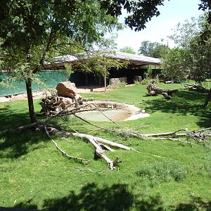 Americas - Guanaco/Rhea Exhibit