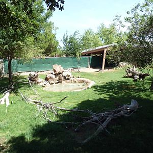 Americas - Guanaco/Rhea Exhibit