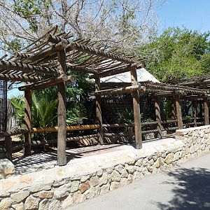 Americas - Bird Of Prey Exhibits