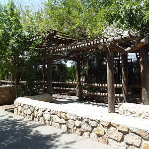 Americas - Bird Of Prey Exhibits