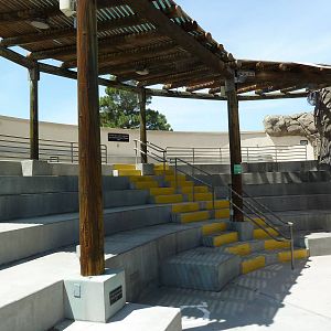 Americas - California Sea Lion Exhibit - Seating Area