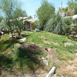 Americas - Prairie Dog Exhibit