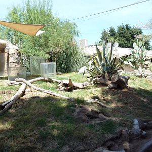 Americas - Prairie Dog Exhibit