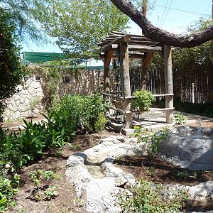 Americas - Animal Hall Of Fame Garden