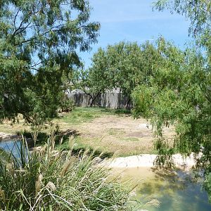 Asia - Nilgai/Blackbuck Exhibit