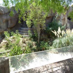 Asia - Malayan Tiger Exhibit