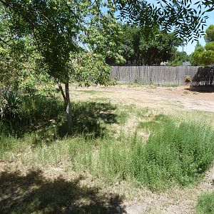 Asia - Nilgai/Blackbuck Exhibit