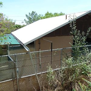 Asia - Off Exhibit Holding Yards