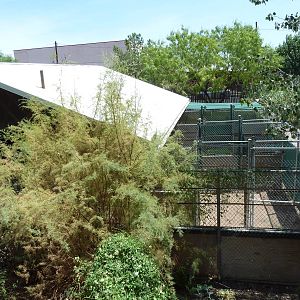 Asia - Off Exhibit Holding Yards