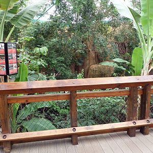 Asian Forest Complex - Walk-Through Aviary