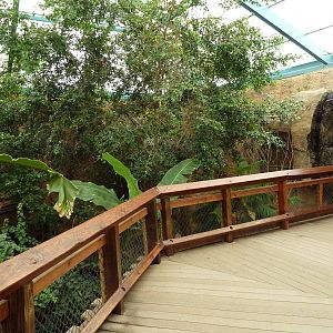 Asian Forest Complex - Walk-Through Aviary