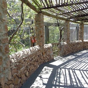 Asia - Lion-Tailed Macaque Exhibit