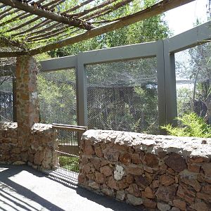 Asia - Lion-Tailed Macaque Exhibit