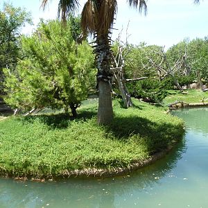 Asia - Siamang Island