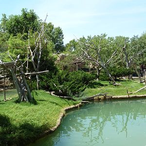 Asia - Siamang Island