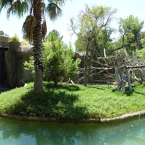 Asia - Siamang Island