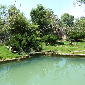 Asia - Siamang Island