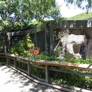 Asia - Amur Leopard Exhibit