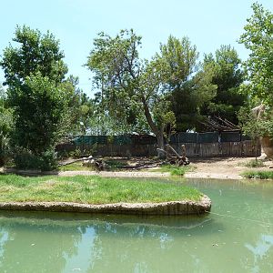 Asia - Malayan Tapir Exhibit + Siamang Island