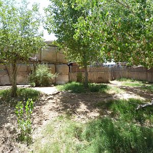 Asia - Malayan Tapir Exhibit