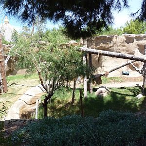 Asia - Sumatran Orangutan Exhibit