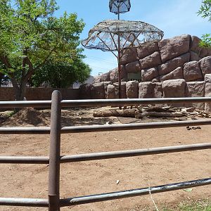 Asia - Elephant Presentation Yard