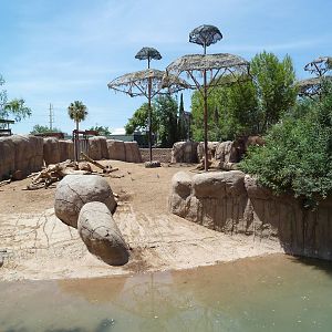 Asia - Elephant Exhibit