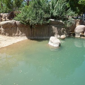 Asia - Elephant Exhibit Pool