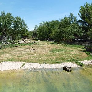 Asia - Nilgai/Blackbuck Exhibit