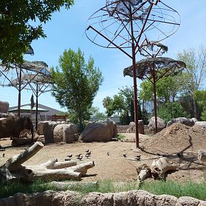 Asia - Elephant Exhibit