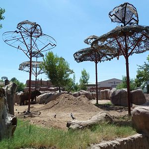 Asia - Elephant Exhibit