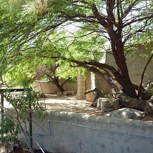 Americas - Galapagos Tortoise Exhibit