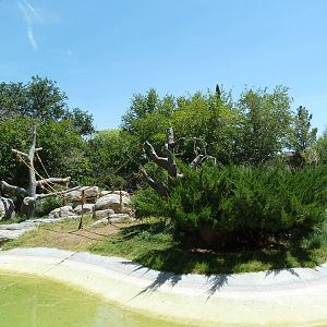 Americas - Spider Monkey Island